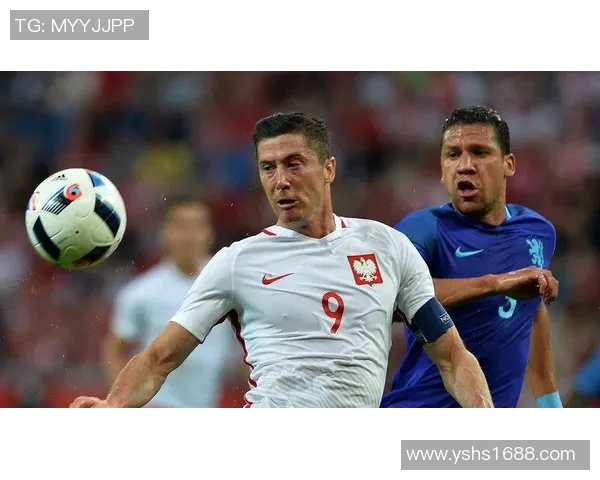 2016年欧洲杯北爱尔兰对阵波兰精彩回顾与赛后分析